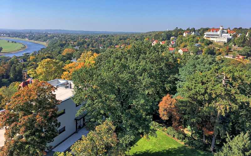 ostmodern incoming, Dresden Natur und Gärten